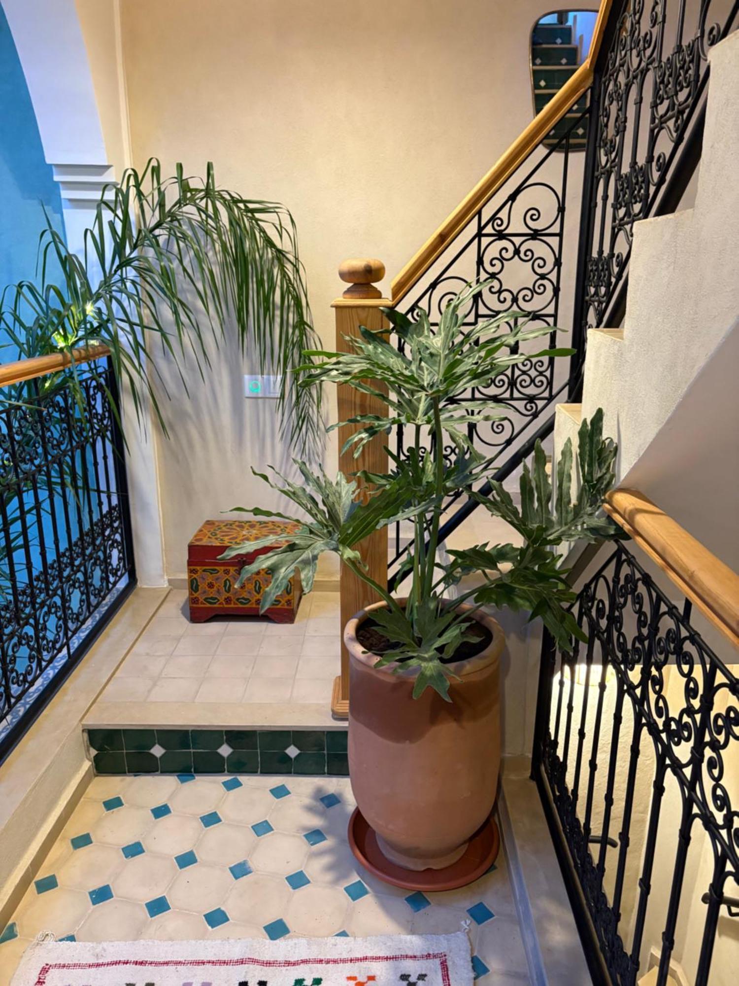 Riad212 Private Medina Fast Wi-Fi Plunge Pool Marrakesh Eksteriør bilde